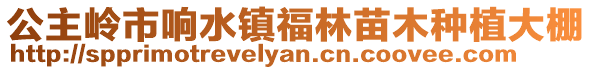 公主嶺市響水鎮福林苗木種植大棚