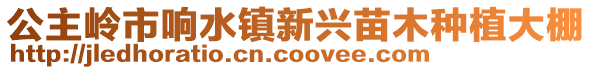 公主嶺市響水鎮(zhèn)新興苗木種植大棚