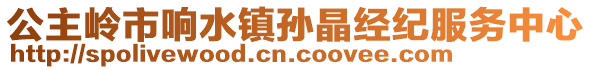 公主嶺市響水鎮孫晶經紀服務中心