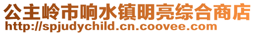 公主嶺市響水鎮明亮綜合商店