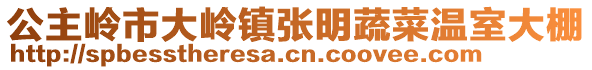 公主嶺市大嶺鎮張明蔬菜溫室大棚