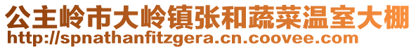 公主嶺市大嶺鎮(zhèn)張和蔬菜溫室大棚