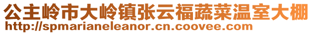 公主嶺市大嶺鎮(zhèn)張云福蔬菜溫室大棚