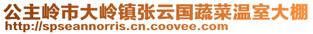 公主嶺市大嶺鎮(zhèn)張?jiān)茋?guó)蔬菜溫室大棚