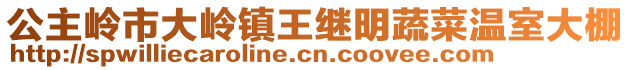 公主嶺市大嶺鎮(zhèn)王繼明蔬菜溫室大棚