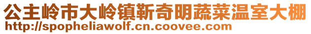 公主嶺市大嶺鎮(zhèn)靳奇明蔬菜溫室大棚