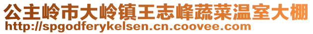 公主嶺市大嶺鎮(zhèn)王志峰蔬菜溫室大棚