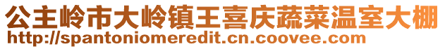 公主嶺市大嶺鎮王喜慶蔬菜溫室大棚