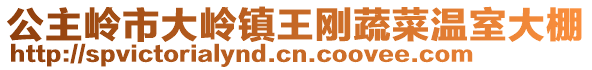 公主嶺市大嶺鎮(zhèn)王剛蔬菜溫室大棚