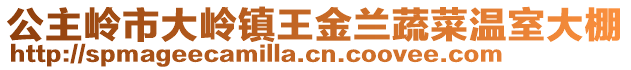 公主嶺市大嶺鎮王金蘭蔬菜溫室大棚