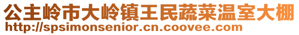 公主嶺市大嶺鎮(zhèn)王民蔬菜溫室大棚