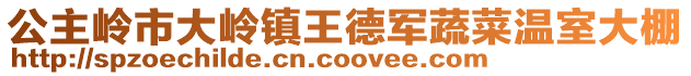 公主嶺市大嶺鎮王德軍蔬菜溫室大棚