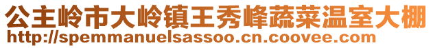 公主嶺市大嶺鎮王秀峰蔬菜溫室大棚