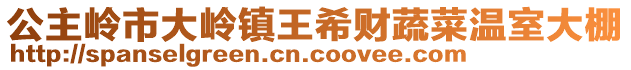 公主嶺市大嶺鎮王希財蔬菜溫室大棚