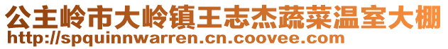 公主嶺市大嶺鎮王志杰蔬菜溫室大棚