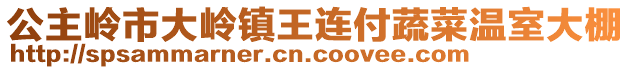 公主嶺市大嶺鎮(zhèn)王連付蔬菜溫室大棚