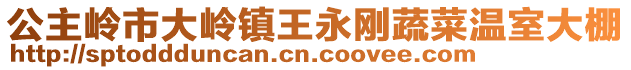 公主嶺市大嶺鎮王永剛蔬菜溫室大棚