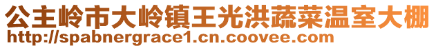 公主嶺市大嶺鎮王光洪蔬菜溫室大棚
