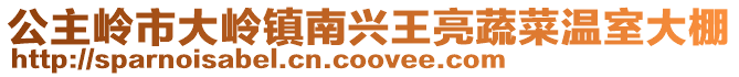 公主嶺市大嶺鎮(zhèn)南興王亮蔬菜溫室大棚