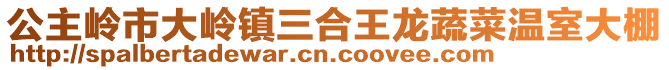 公主嶺市大嶺鎮(zhèn)三合王龍蔬菜溫室大棚