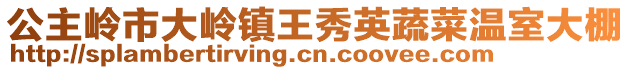 公主嶺市大嶺鎮王秀英蔬菜溫室大棚