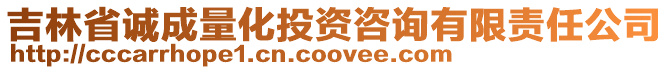 吉林省誠成量化投資咨詢有限責任公司