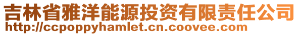 吉林省雅洋能源投資有限責任公司