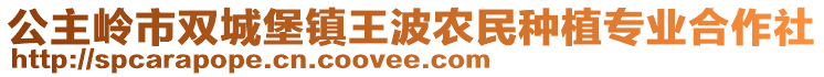 公主嶺市雙城堡鎮(zhèn)王波農(nóng)民種植專業(yè)合作社