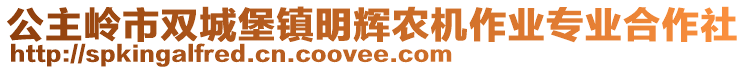 公主嶺市雙城堡鎮(zhèn)明輝農(nóng)機(jī)作業(yè)專業(yè)合作社