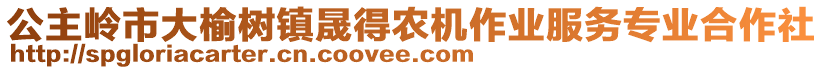 公主嶺市大榆樹鎮(zhèn)晟得農(nóng)機作業(yè)服務(wù)專業(yè)合作社