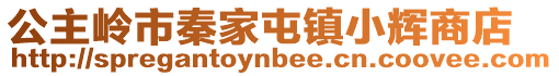公主嶺市秦家屯鎮(zhèn)小輝商店