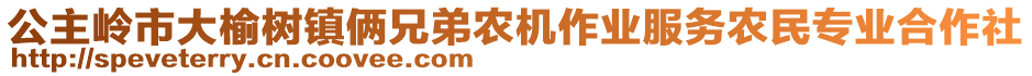 公主嶺市大榆樹鎮(zhèn)倆兄弟農機作業(yè)服務農民專業(yè)合作社