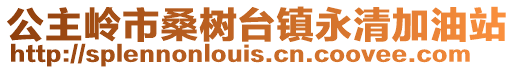 公主嶺市桑樹臺鎮永清加油站