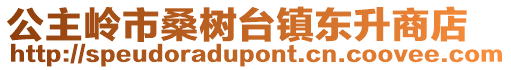 公主嶺市桑樹臺鎮(zhèn)東升商店
