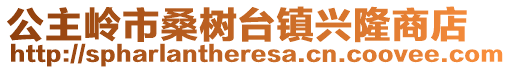 公主嶺市桑樹臺鎮興隆商店