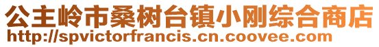 公主嶺市桑樹臺鎮小剛綜合商店