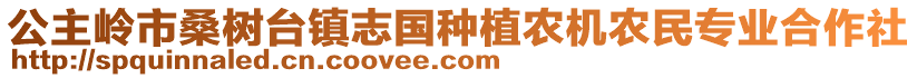 公主嶺市桑樹臺鎮(zhèn)志國種植農(nóng)機(jī)農(nóng)民專業(yè)合作社