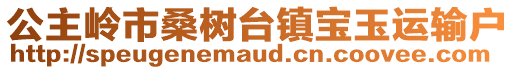 公主嶺市桑樹臺鎮寶玉運輸戶