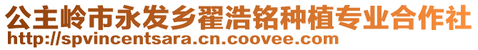 公主嶺市永發鄉翟浩銘種植專業合作社