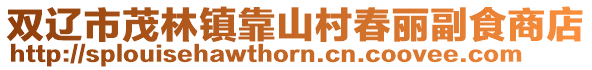 雙遼市茂林鎮靠山村春麗副食商店