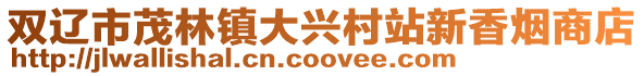 雙遼市茂林鎮大興村站新香煙商店
