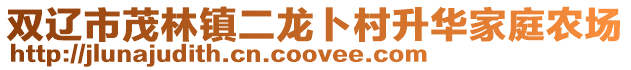 雙遼市茂林鎮(zhèn)二龍卜村升華家庭農(nóng)場(chǎng)