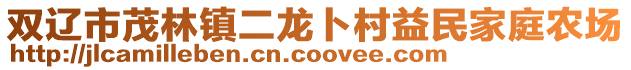 雙遼市茂林鎮(zhèn)二龍卜村益民家庭農(nóng)場