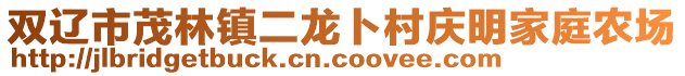 雙遼市茂林鎮(zhèn)二龍卜村慶明家庭農(nóng)場