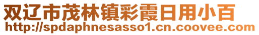 雙遼市茂林鎮彩霞日用小百