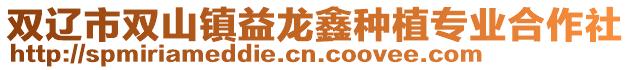 雙遼市雙山鎮(zhèn)益龍鑫種植專業(yè)合作社