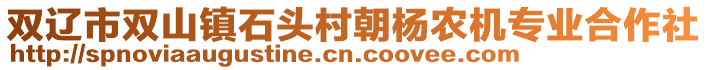 雙遼市雙山鎮石頭村朝楊農機專業合作社