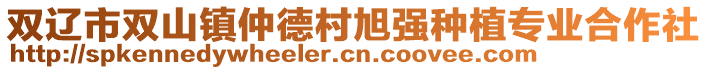 雙遼市雙山鎮仲德村旭強種植專業合作社