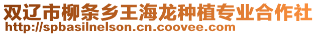雙遼市柳條鄉王海龍種植專業合作社