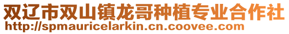 雙遼市雙山鎮龍哥種植專業合作社